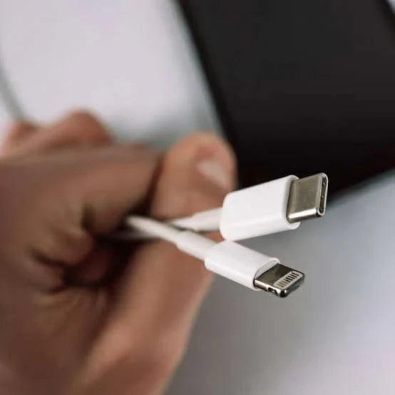 Type C To IPhone Lightening Fast Charging Cable